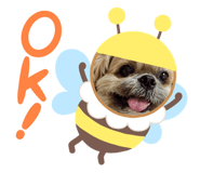 642674719