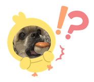 642674725