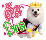 642686094