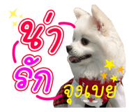 642686096