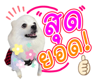 642686097