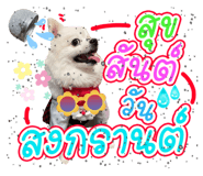 642686116