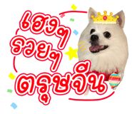 642686117