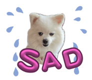 642686138