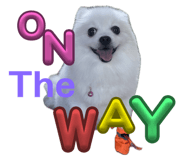 642686146