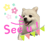 642686153
