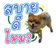 642686161