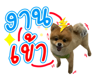 642686162