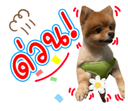642686169