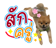 642686175
