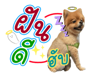 642686180
