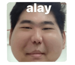 642688033