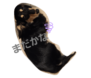 642688417
