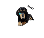 642688420