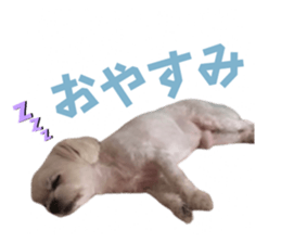 642689903