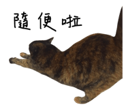 64275355