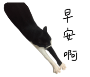 64275363
