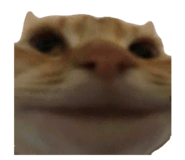 642802047