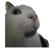 642802048