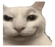 642802049