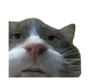 642802051
