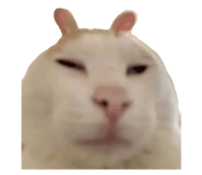 642802053