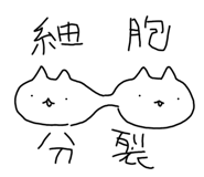 642813288