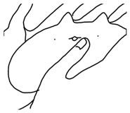 642813296