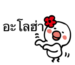 6428146