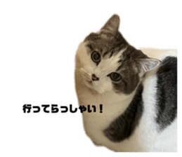 642823073