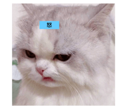 642846924