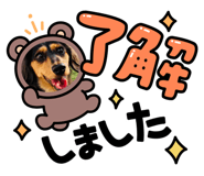642866219