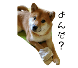 642880054