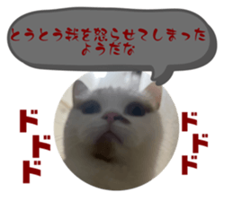 642893917