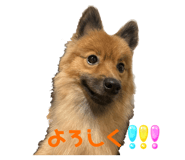 642900291
