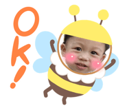 642905175