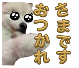 642919318