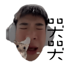 642926606