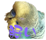 642930447