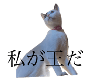 642930450