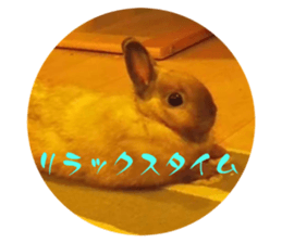 642930555