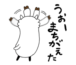 6429431
