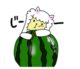 6429436