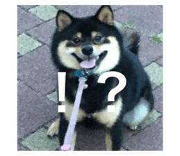 642966832