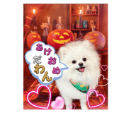 642978632