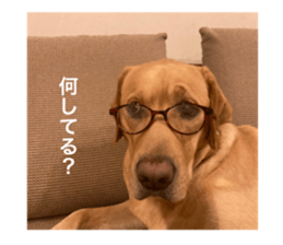 642981360