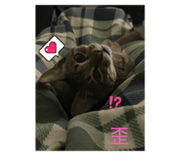 642994526