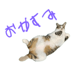 643012915
