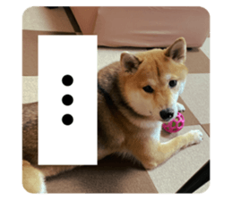 643119235