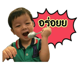 64311955